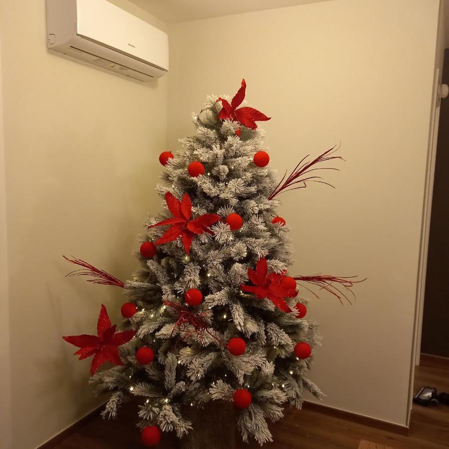 Corte Trento - Exclusive Rooms Битонто Экстерьер фото
